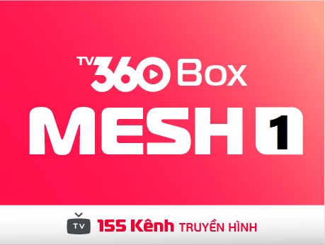 combo-mesh1-box